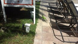 20170919_144555 null