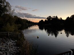 PXL_20251012_230410545 null