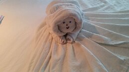 20161216_162728 null