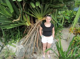 IMG_1425 null