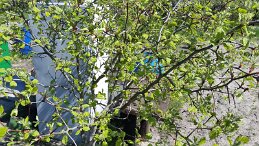 20160429_135815 null