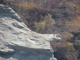 IMG_6502 null