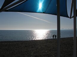 IMG_6582 null