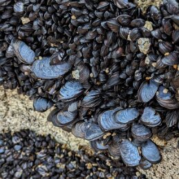 PXL_20231222_003000543 null